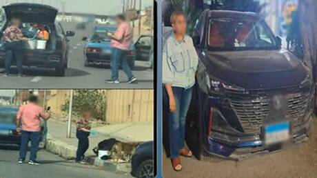 لأول مرة.. ضبط سيدة بسبب إطعامها كلاب الشارع في مصر والأمن يشرح الأسباب