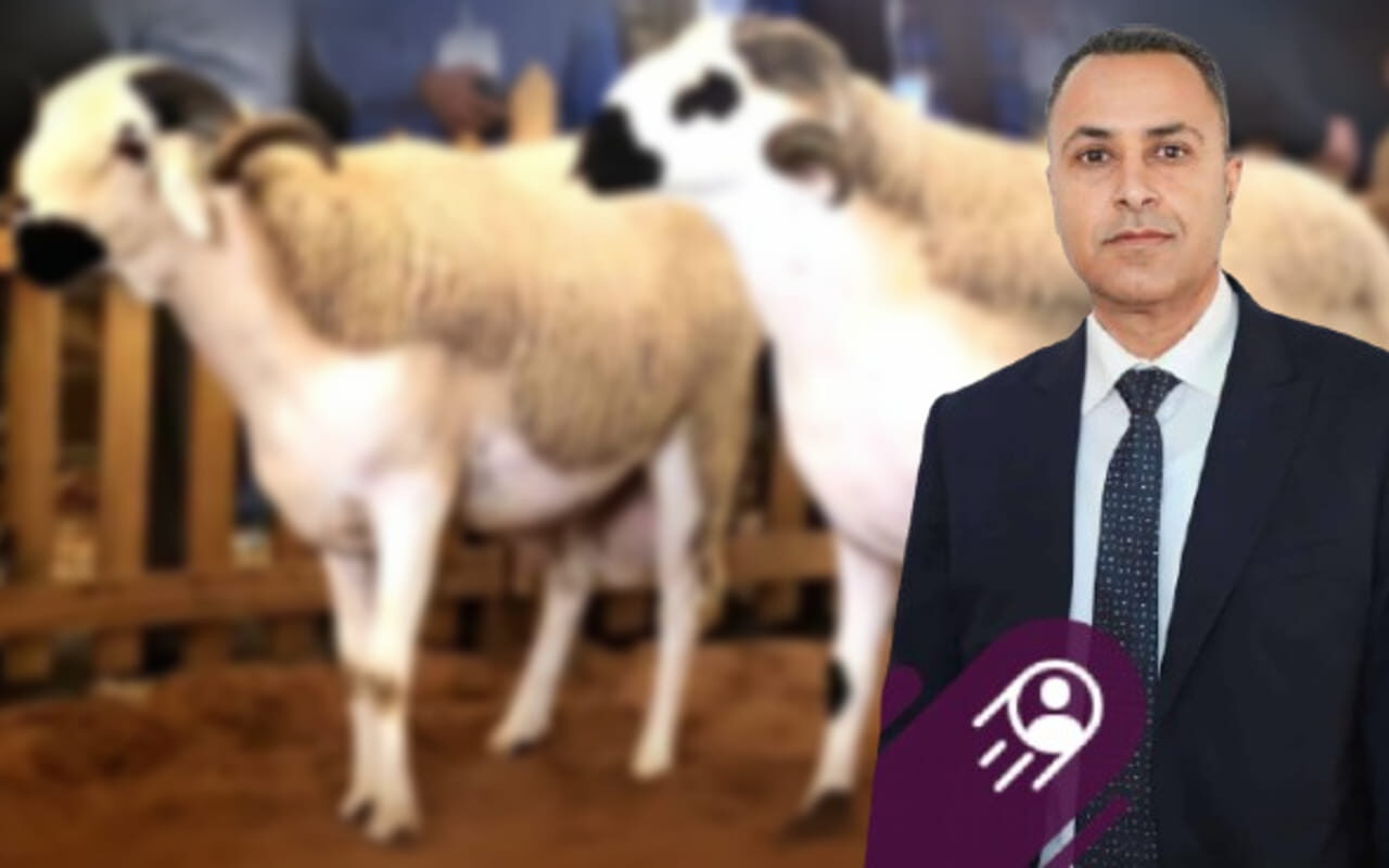 جدل واسع بعد حديث نائب عن رفض هبة إيطالية تضم مليون نعجة.. ومطالب بتوضيحات رسمية