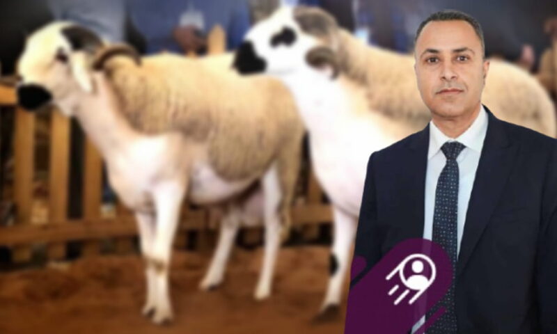 جدل واسع بعد حديث نائب عن رفض هبة إيطالية تضم مليون نعجة.. ومطالب بتوضيحات رسمية