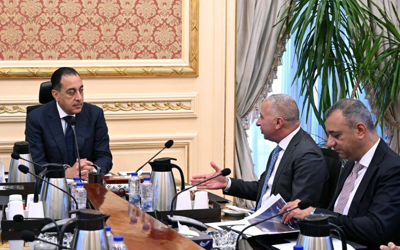 Madbouly, Elsewedy Electric discuss expansion plans, new investments