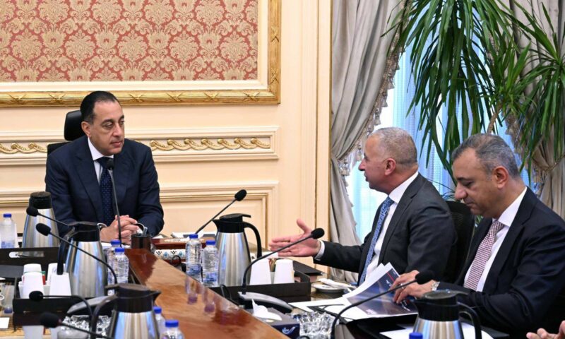 Madbouly, Elsewedy Electric discuss expansion plans, new investments