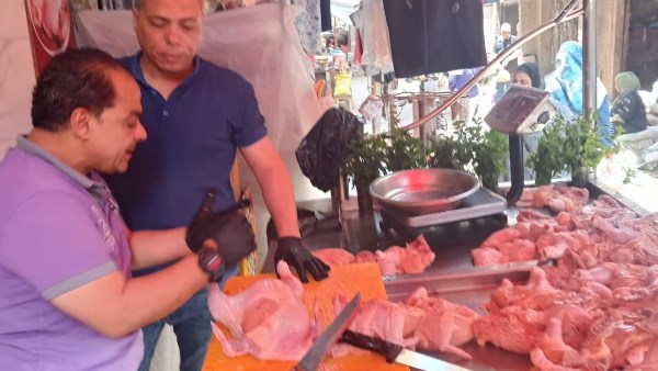 محافظ الغربية: حملات رقابية قبل عيد الأضحى لضبط نصف طن لحوم ودواجن وأسماك فاسدة