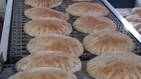 تحرير 10 محاضر تموينية خلال حملة على المخابز والمحال بمركز كفر الشيخ