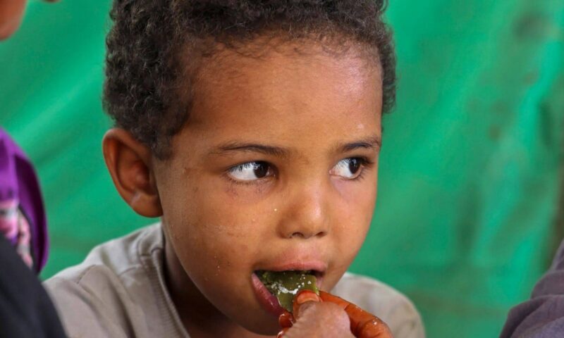 Yemen family eats tree leaves as aid dies out
