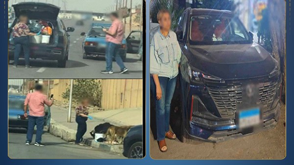 الداخلية تكشف ملابسات فيديو إطعام كلاب ضالة ونشره عبر السوشيال ميديا