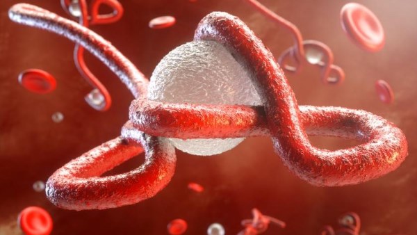هيئة صحية أفريقية: 10 دول في القارة السمراء مهددة بتفشي فيروس إيبولا