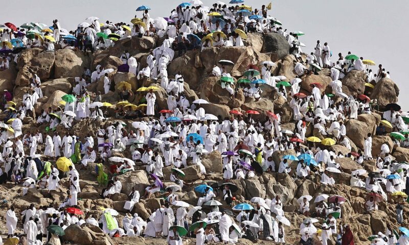 Pilgrims pray on Mount Arafat as hajj reaches peak