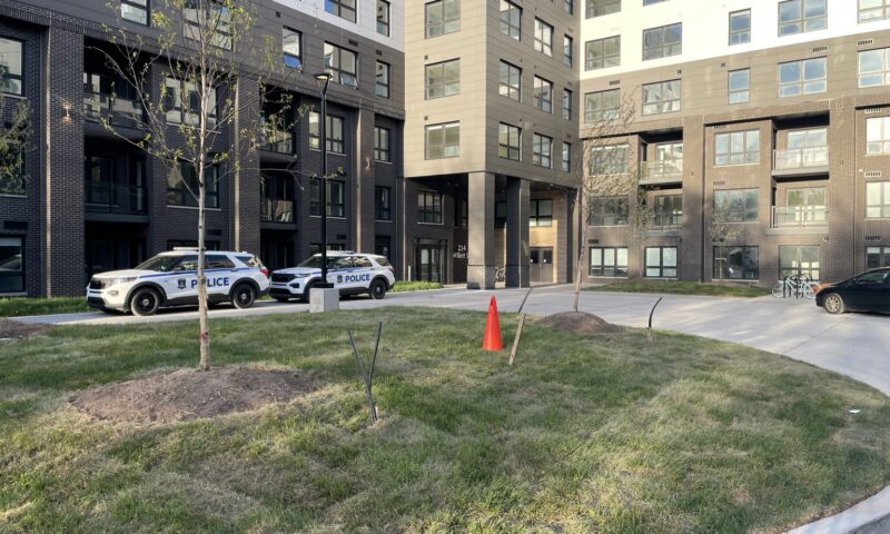 Halifax police say missing newborn found dead, 2 people charged
