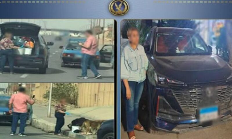 ضبط سيدة أطعمت كلاب الشارع في مصر.. والداخلية توضح