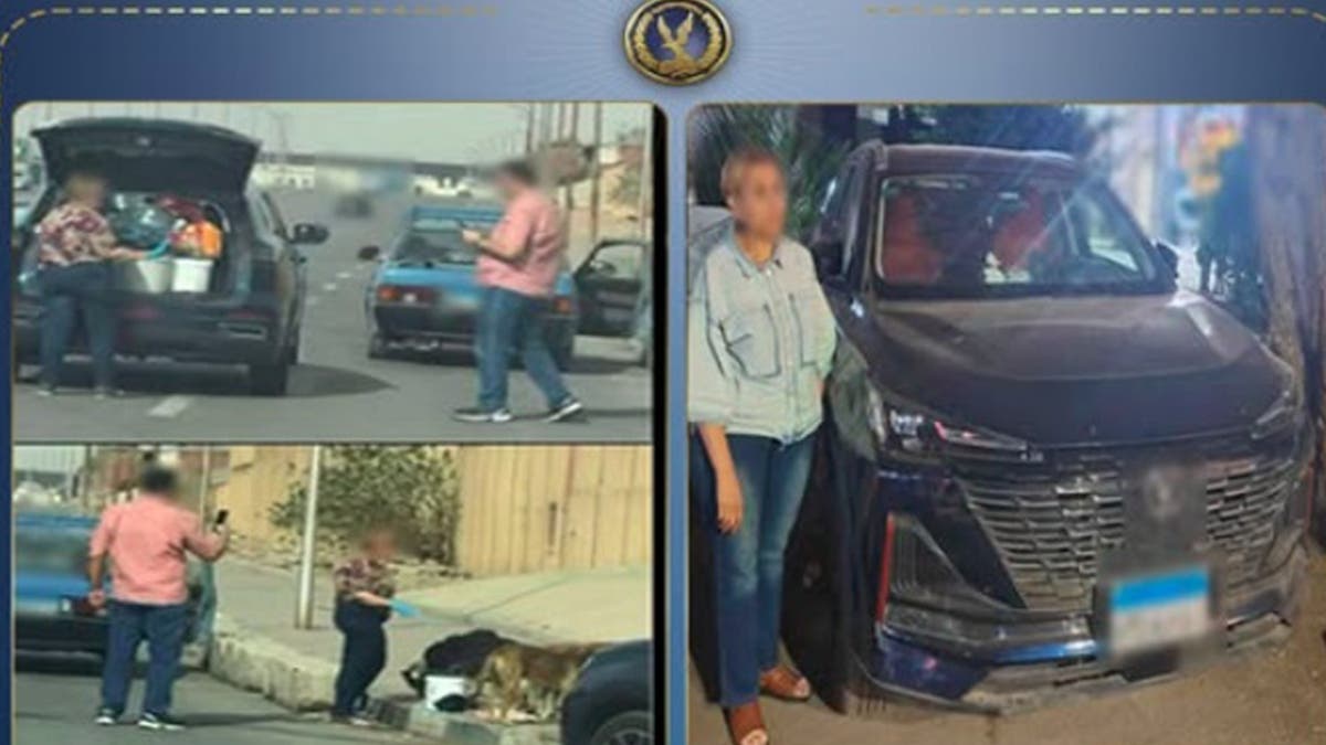 ضبط سيدة أطعمت كلاب الشارع في مصر.. والداخلية توضح