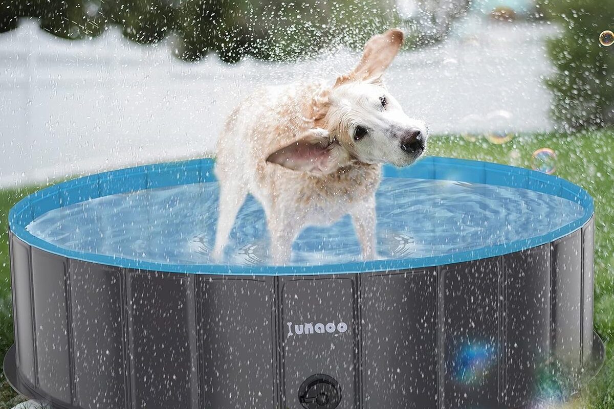 Foldable Lunaoo paddling pool is gaining attention as summer garden season starts (aff)
