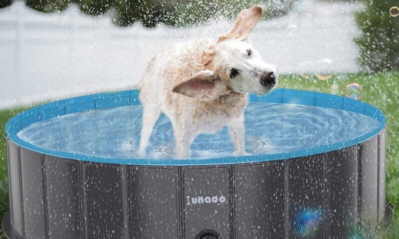 Foldable Lunaoo paddling pool is gaining attention as summer garden season starts (aff)
