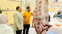 مجازر الدقهلية تستقبل 87 رأس ماشية خلال ثاني أيام عيد الأضحى