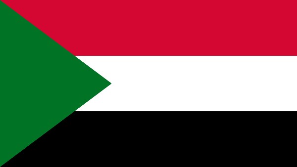 المتحدث باسم الشرطة السودانية: 93 ألف بلاغ سرقة سيارات خلال فترة الاضطرابات في الخرطوم