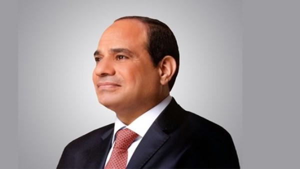 الرئيس السيسي: مصر ستظل شريكا فاعلا في دعم مسيرة التنمية والبناء بالدول الإفريقية الشقيقة