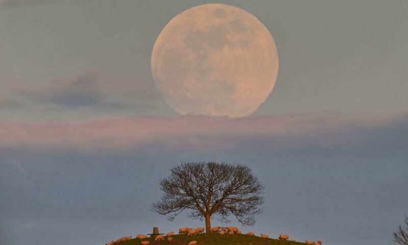 How to catch the perfect full moonrise — just in time for the Blue Moon show on May 30