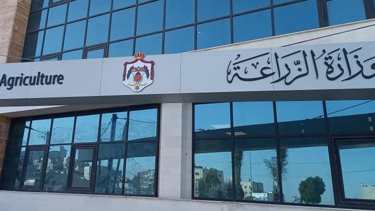 الزراعة: توفير 16 ألف رأس ماشية للأضاحي واللحوم بـ280 جنيهًا للكيلو