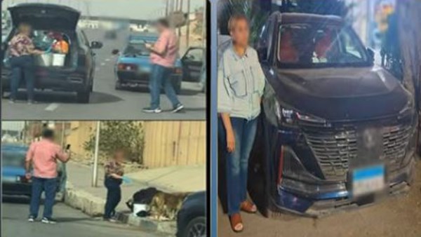 لحث المواطنين على الرفق بالحيوان.. القبض على سيدة تطعم الكلاب الضالة في شوارع القاهرة