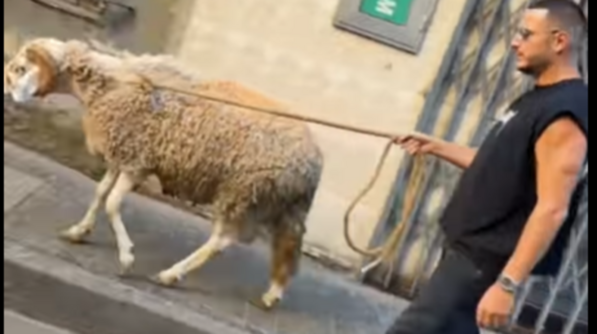 مشاهير الجزائر يعيشون “لمة العيد” من قلب الأحياء الشعبية