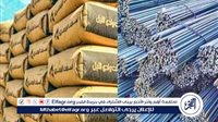 استقرار أسعار مواد البناء بأسوان اليوم الجمعة 22 مايو 2026..