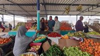 سعر الخضار والفاكهة اليوم الجمعة في الأسواق