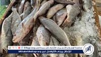 استقرار أسعار الأسماك بأسوان اليوم الجمعة 22 مايو 2026