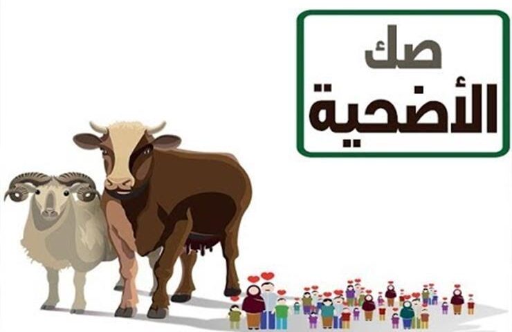 الإفتاء: يجوز للمضحى أن يُنيب عنه إحدى الجمعيات الخيرية لشراء صك الأضحية