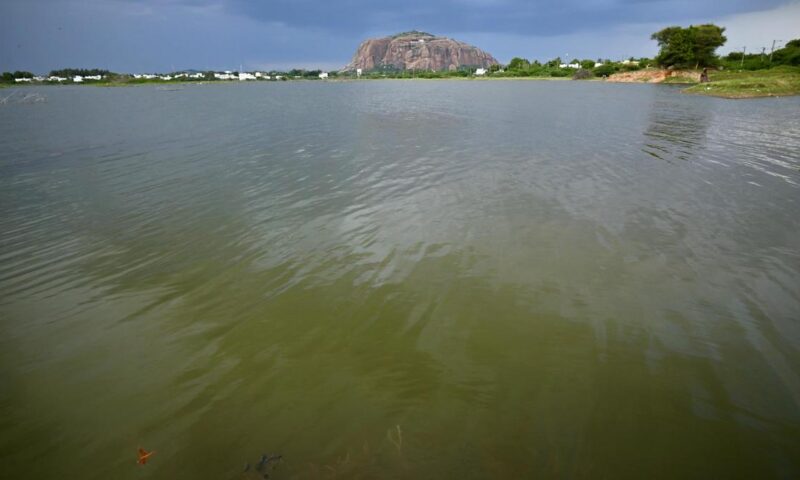 Role of Rotary Clubs in rejuvenating waterbodies in Madurai comes in for appreciation