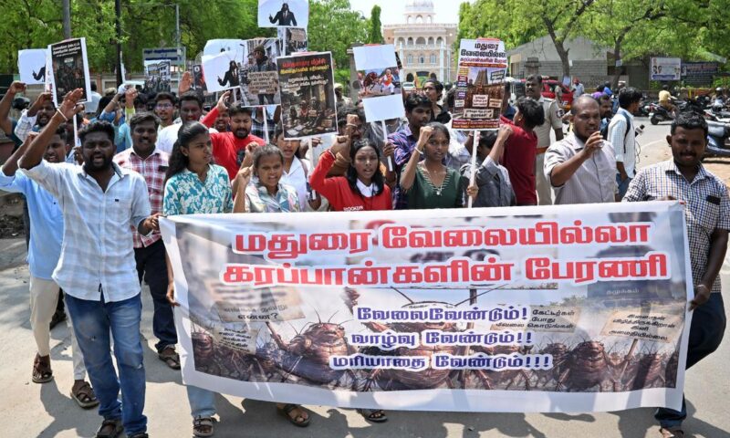 Youth under ‘unemployed cockroaches’ banner carry out rally in Madurai