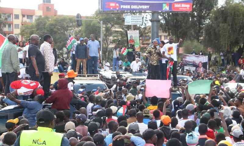 Linda Mwananchi leaders court Kalonzo in Machakos tour