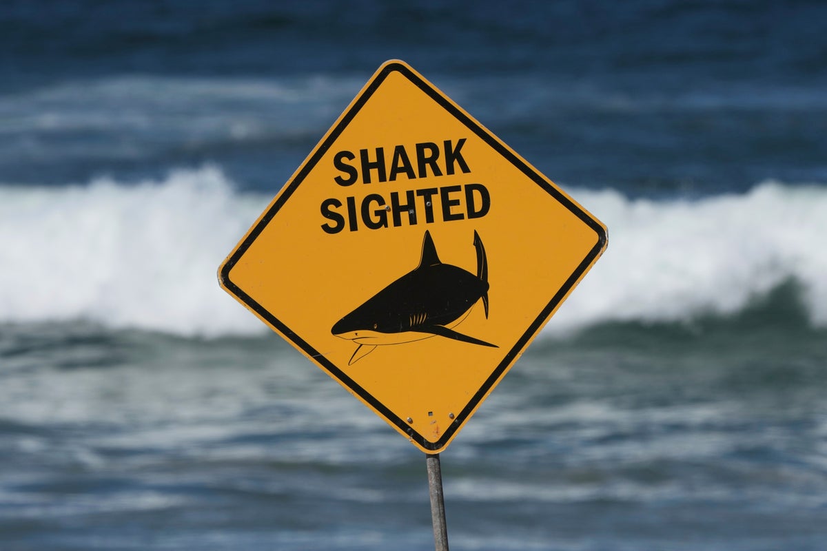 Man killed by shark at Great Barrier Reef in second deadly Australian attack this month
