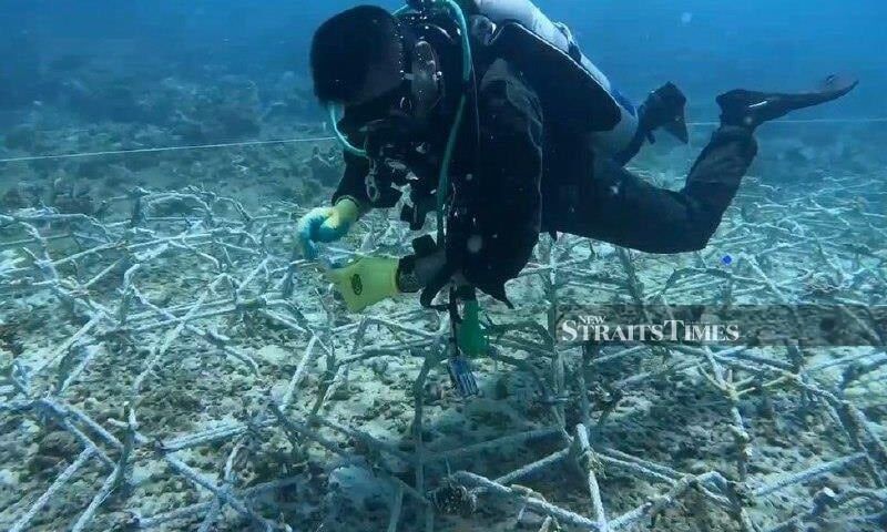Tun Mustapha Park moves closer to achieving global conservation recognition