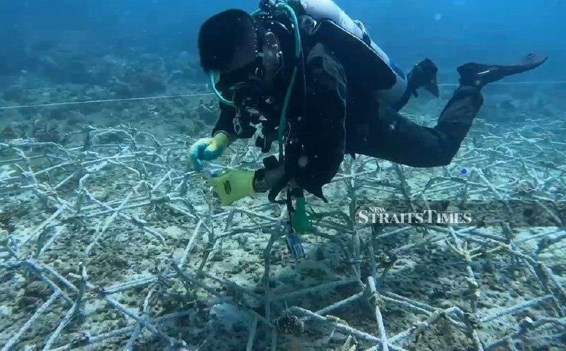 Tun Mustapha Park moves closer to achieving global conservation recognition