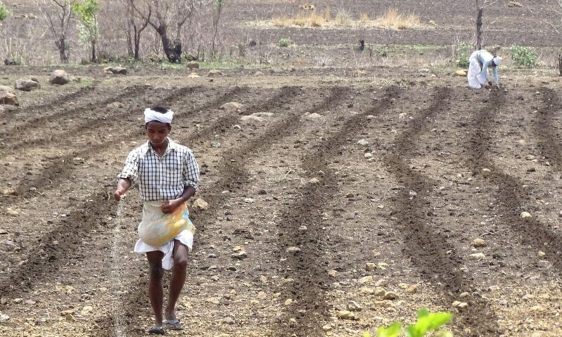 Improving efficiency of fertilizer use in India