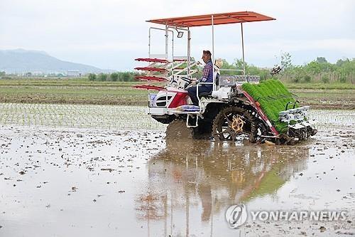 Farming households’ income hits record high in 2025: data