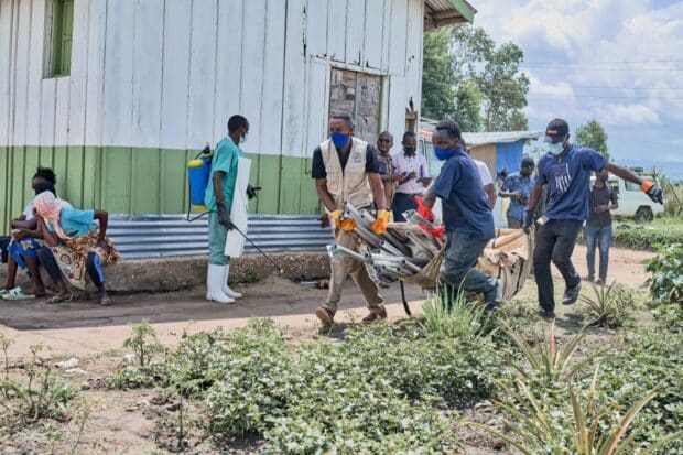 Bundibugyo virus, an Ebola species causing an outbreak in Congo