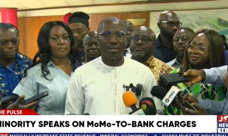 NDC using BoG, private sector company to enforce 0.75% MoMo levy – Minority Leader claims