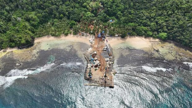 Group assails DENR over tree-cutting permits in Palawan