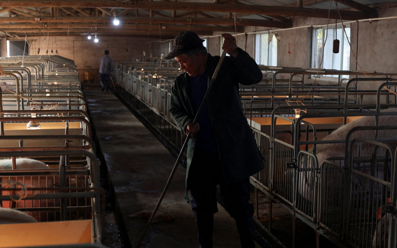 What Plunging Pork Prices Say About China’s Economy
