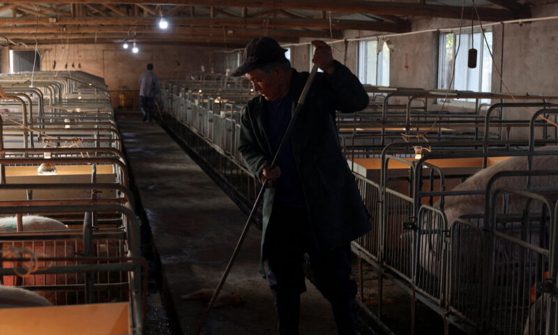 What Plunging Pork Prices Say About China’s Economy