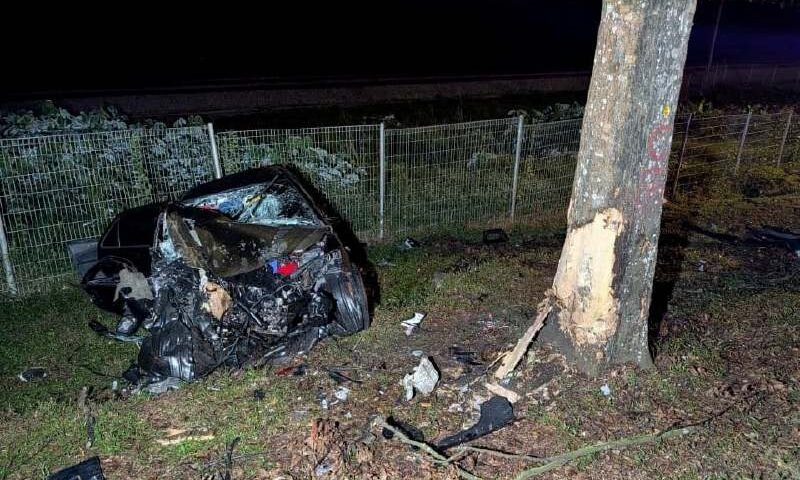 Two friends killed after car skids into tree in Kulai