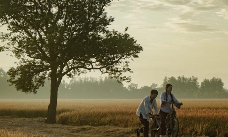 China Box Office: ‘Dear You’ Enjoys Spectacular Surge as ‘Mandalorian and Grogu’ Debuts