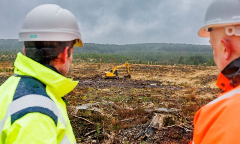 Previously forested peatland restoration a ‘success’ for river flow and fish in south of Scotland