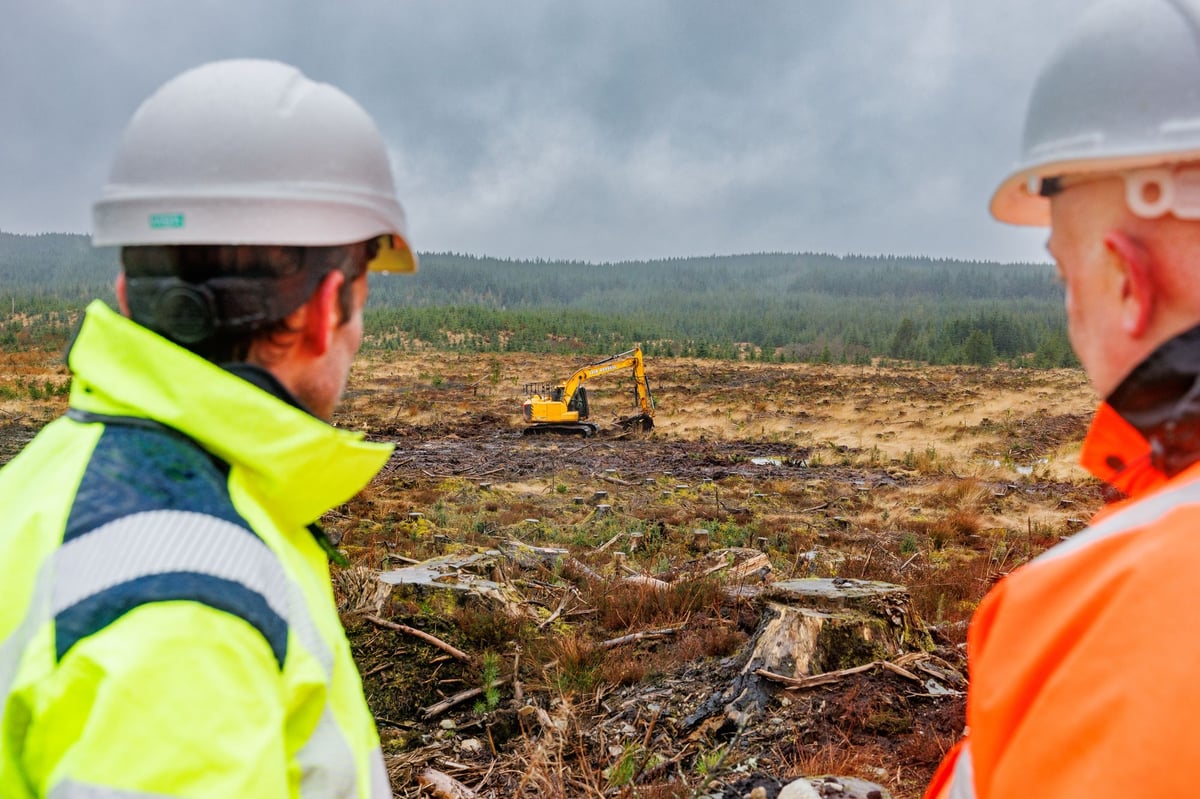 Previously forested peatland restoration a ‘success’ for river flow and fish in south of Scotland