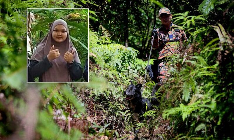 Police probe external factors in search for missing teen hiker