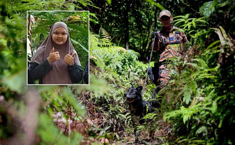 Police probe external factors in search for missing teen hiker