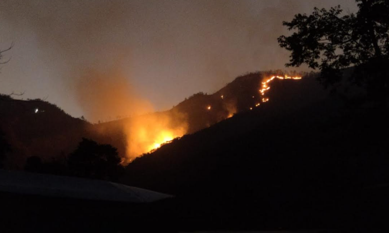 Column | Fire at the edge of my farm