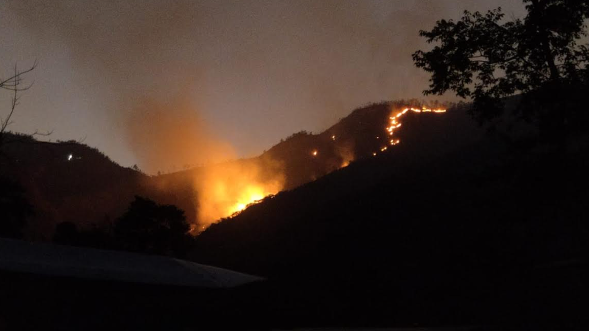 Column | Fire at the edge of my farm