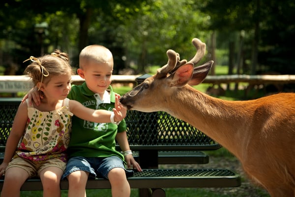 The most impressive zoos in the U.S. for 2026