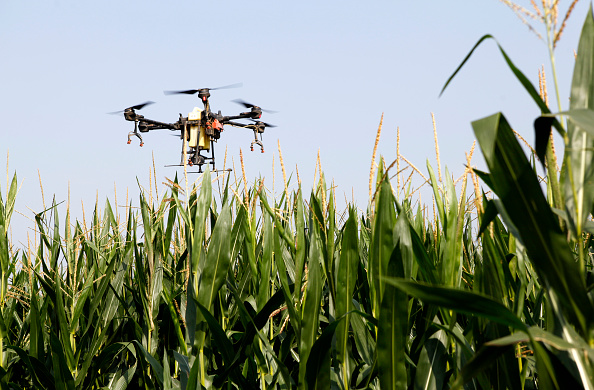 EU countries back easing rules on pesticide-spraying drones